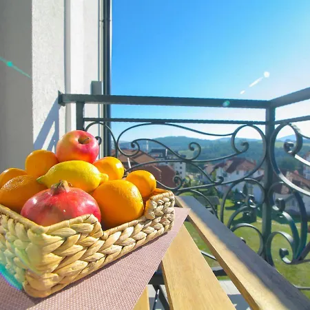 Narcis 17 - Novonamesteni Sa Prelepim Pogledom Na Tornik * זלאטיבור