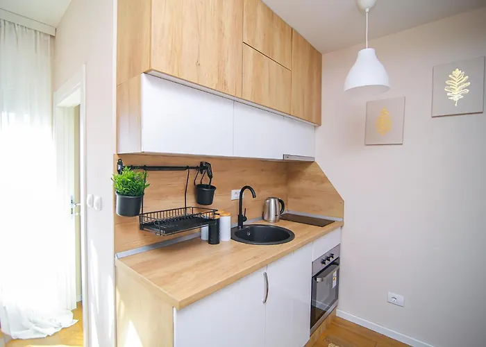 Narcis 17 - Novonamesteni Sa Prelepim Pogledom Na Tornik * Zlatibor